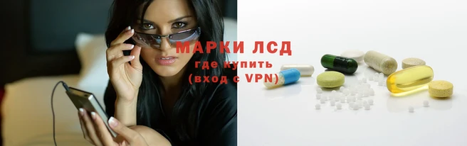 прущая мука Новодвинск